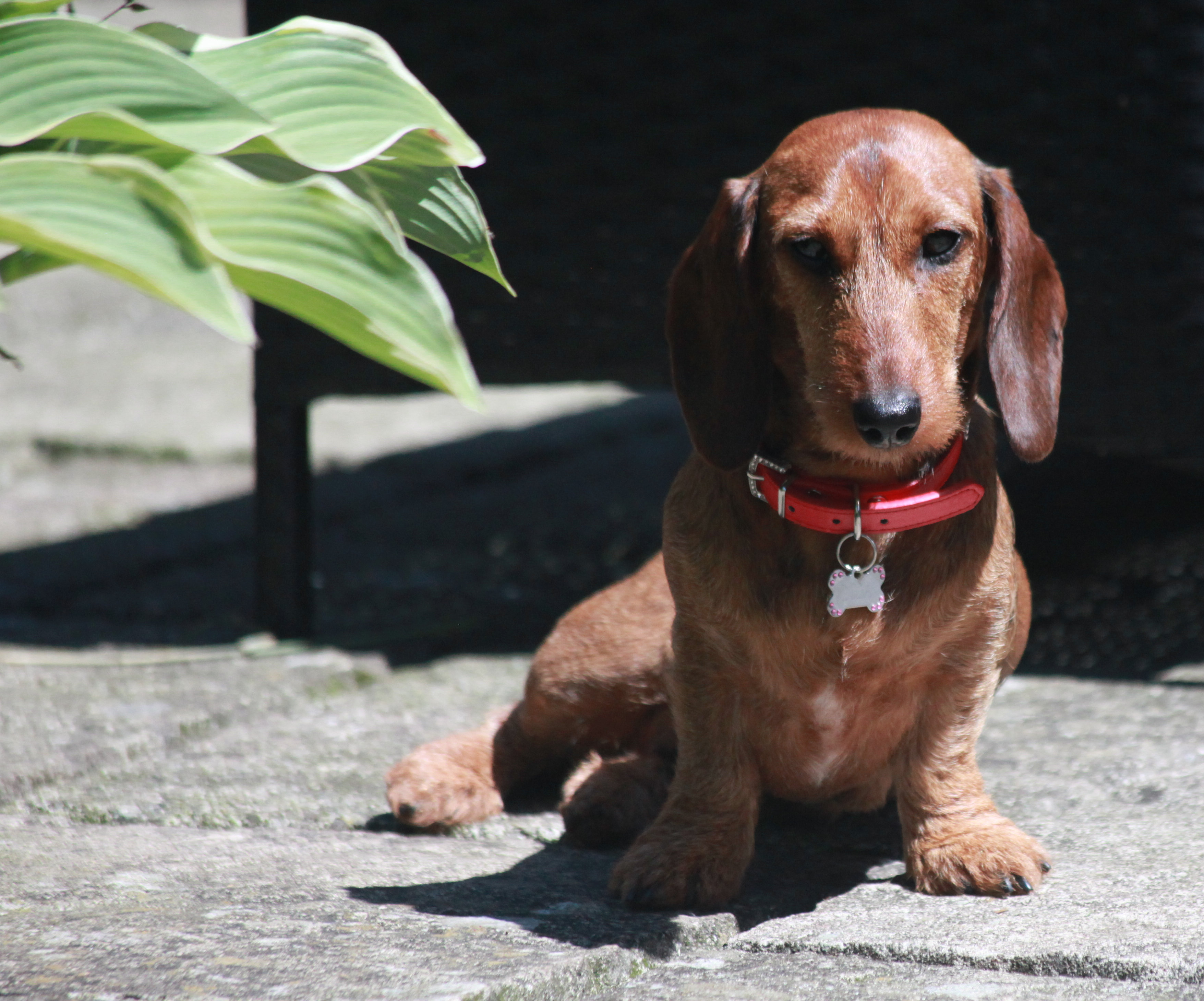 Sunbathing....