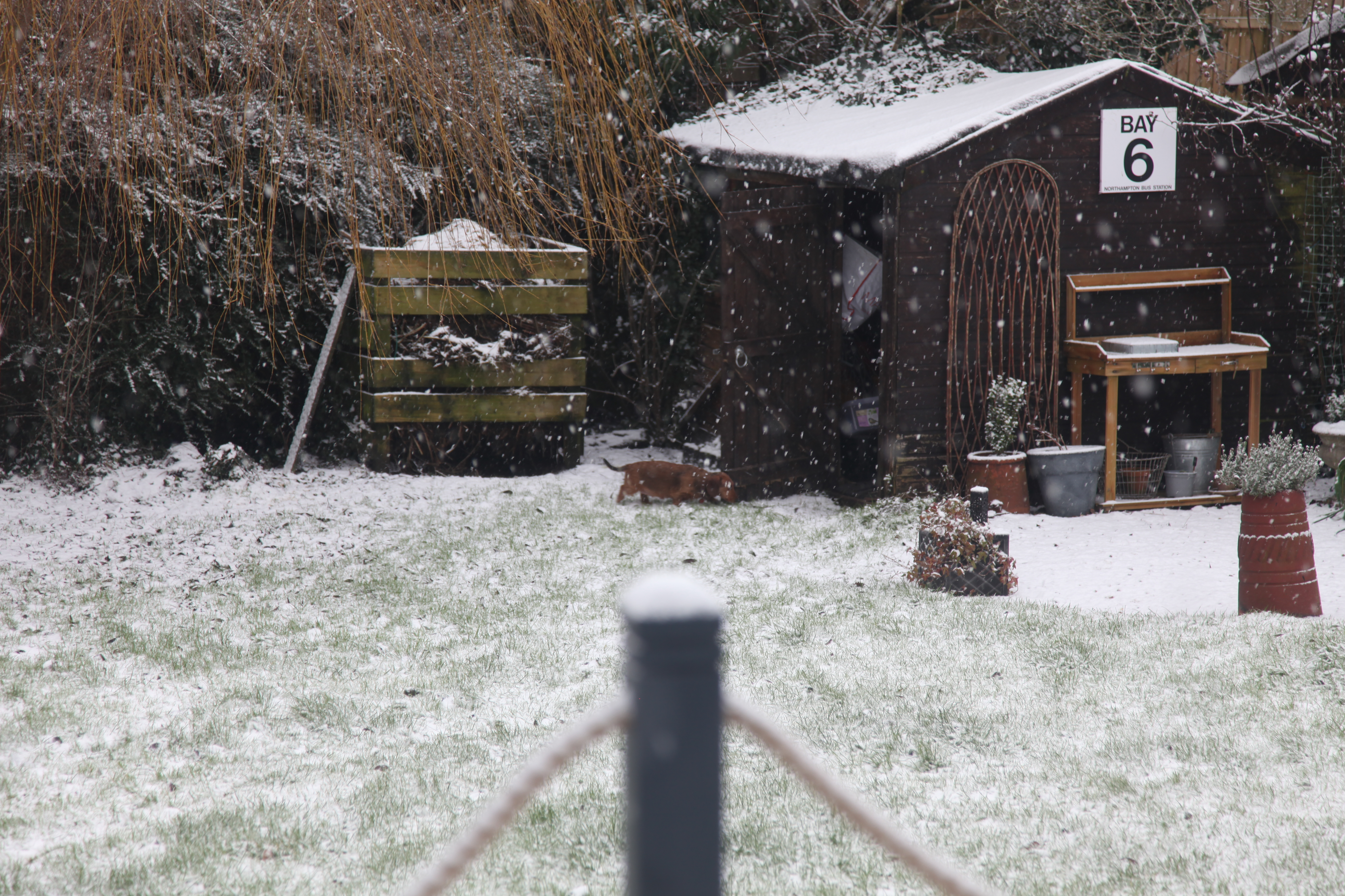 Snow Day